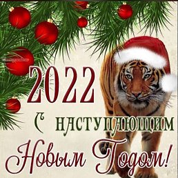 ���� ����, ��������, 42 ���� - ��������� 25 ���� 2022