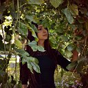 ���� ������, ���������, 26 ��� - ��������� 26 ����� 2022 � ������ ���� ����������