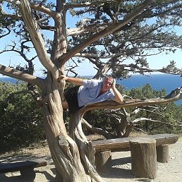 ���������, ������-��-����, 53 ����