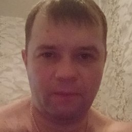 �������, �������, 41 ���