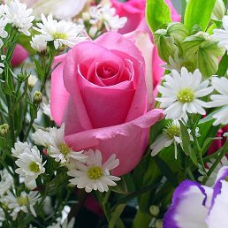 ���������, �������, 58 ���