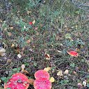 ������ 2022 ����... :)