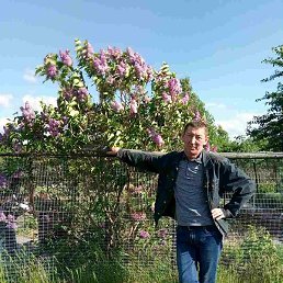 �����, ���������, 57 ���