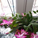 ���� �����, ������, 76 ��� - ��������� 27 ������� 2022 � ������ ���� ����������