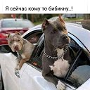 ���� ��������, ����, 54 ���� - ��������� 8 ��� 2022 � ������ ������ ��������
