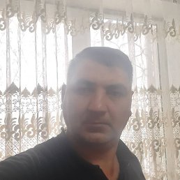 ����, �������, 46 ���