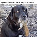 ���� ���������, �����������, 58 ��� - ��������� 16 ������ 2023 � ������ ���� ����������