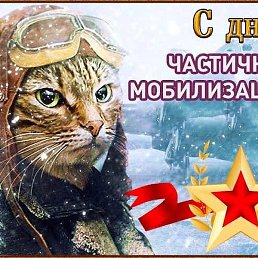 �����, ������, 54 ����