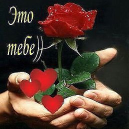 ���, ���������