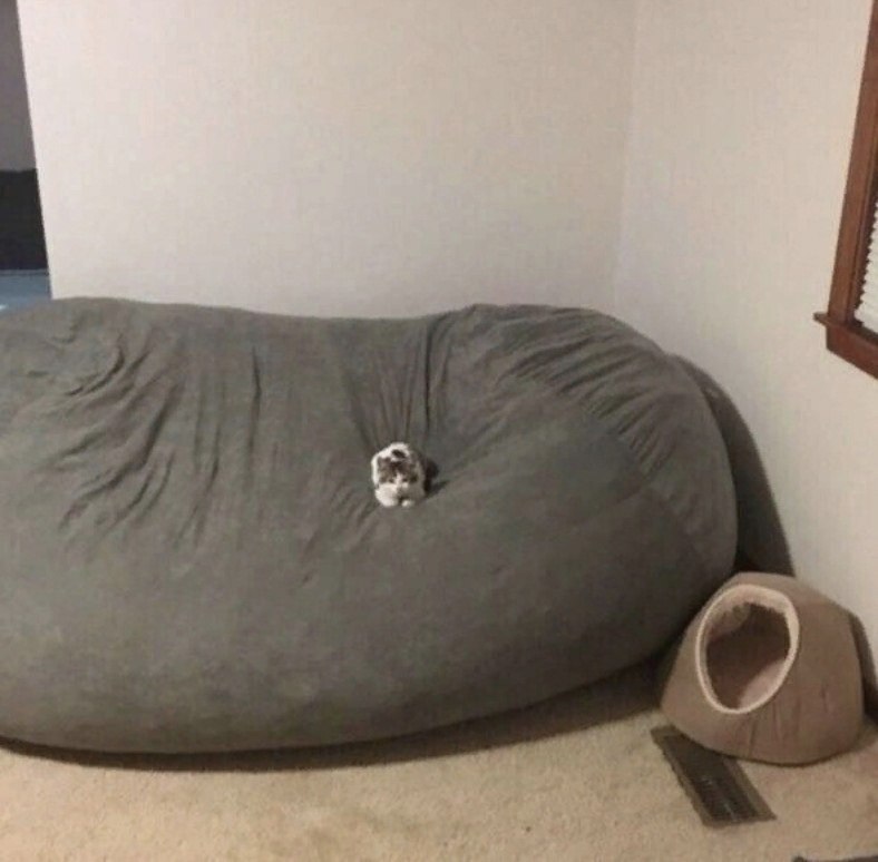 Когда решил купить домик для кота