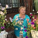 ���� ������, �������� - ��������� 4 ����� 2022 � ������ ���� ����������