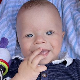 ����, ���������, 37 ���