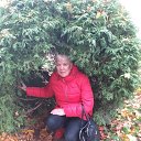 ���� ��������, ������, 38 ��� - ��������� 15 ��� 2022 � ������ ���� ����������