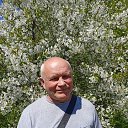 ���� ������, �������, 62 ���� - ��������� 16 ������ 2022