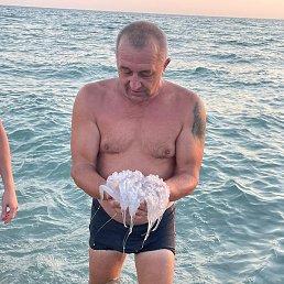 ��������, ������, 55 ���