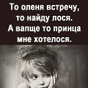 ���� �����������, ������ - ��������� 11 ������ 2022 � ������ ����