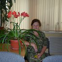 ���� �������, ������, 77 ��� - ��������� 17 ������ 2022 � ������ ���� ����������