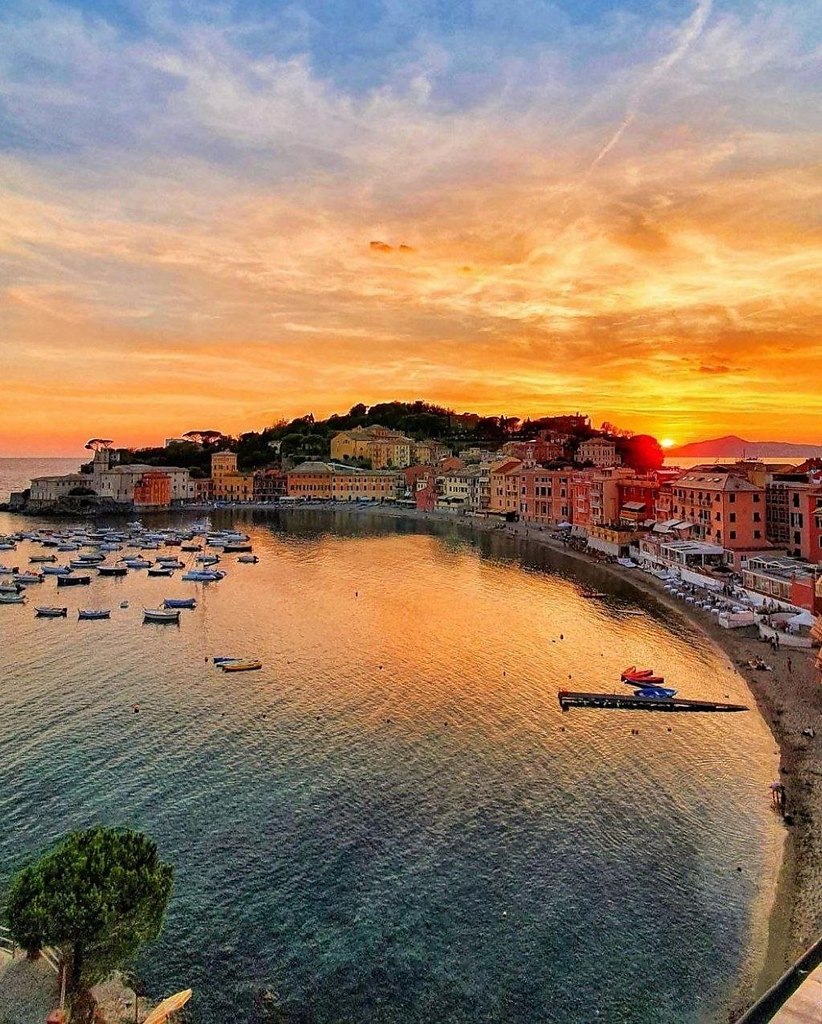  ,  (Camogli).  ,   ,    ... - 5