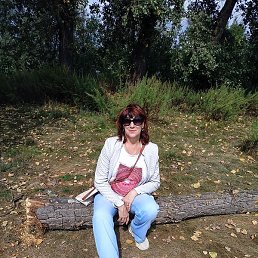 �������, ������, 37 ���