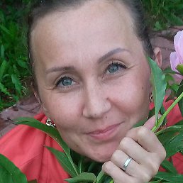 �������, ������, 44 ����