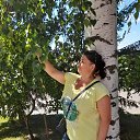 ���� 2022 �� ������� ����� 2022�