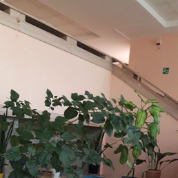 ���� ��������, ������, 85 ��� - ��������� 20 ��� 2022