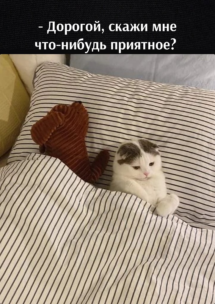       - 12  2023  10:18