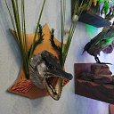 ���� �� 4.8 �� �� ������� ���� ������