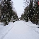 ���� ���������, �������, 63 ���� - ��������� 14 ������ 2023 � ������ ���