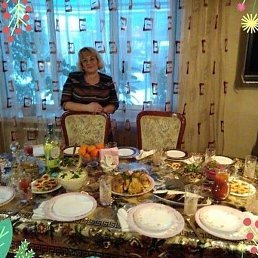 �������, ���������� �����, 65 ���