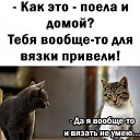 ���� ����, �����-���������, 63 ���� - ��������� 18 ������� 2023 � ������ ���� ����������