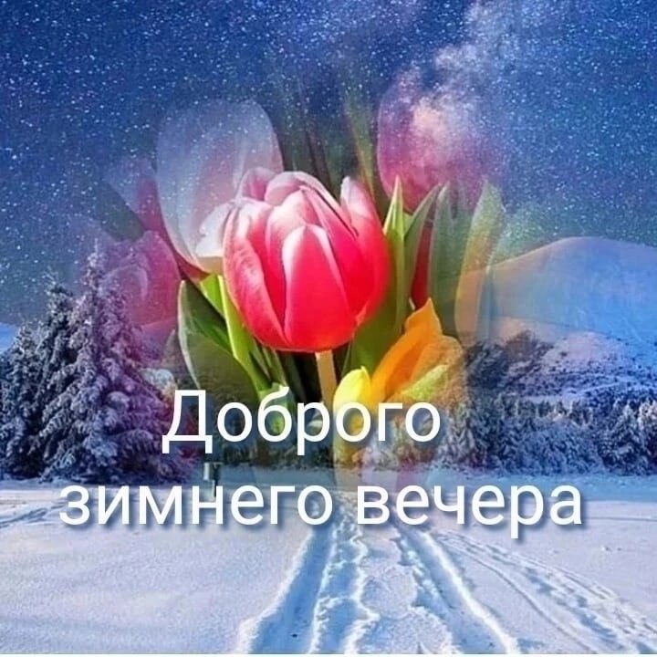   ,    . - 7  2023  19:33