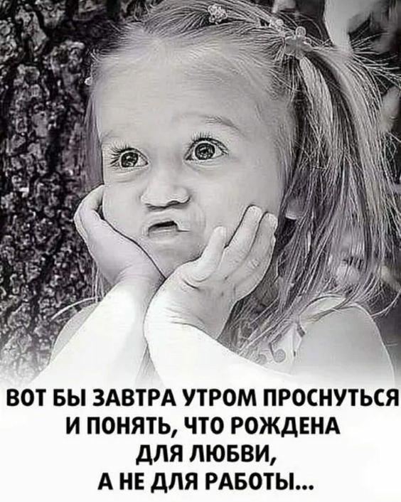  - 13  2023  23:13