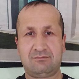 ����, ������� �����, 43 ����