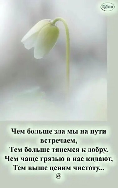  - 14  2022  08:22