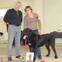 ���� ����, �����-��������� - ��������� 9 ������� 2022 � ������ ���� ����������