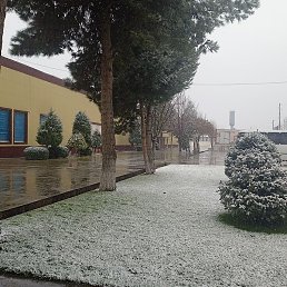 �����, �������, 32 ����