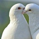 ���� �����, �����, 57 ��� - ��������� 23 ������� 2022 � ������ ������ ��������