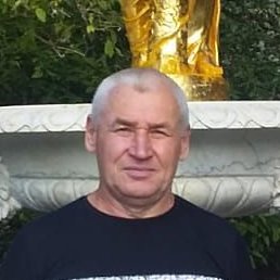 �������, ������, 65 ���