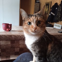 ���� ��������, ����������, 65 ��� - ��������� 30 �������� 2022