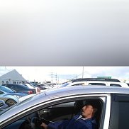 , 37 , 