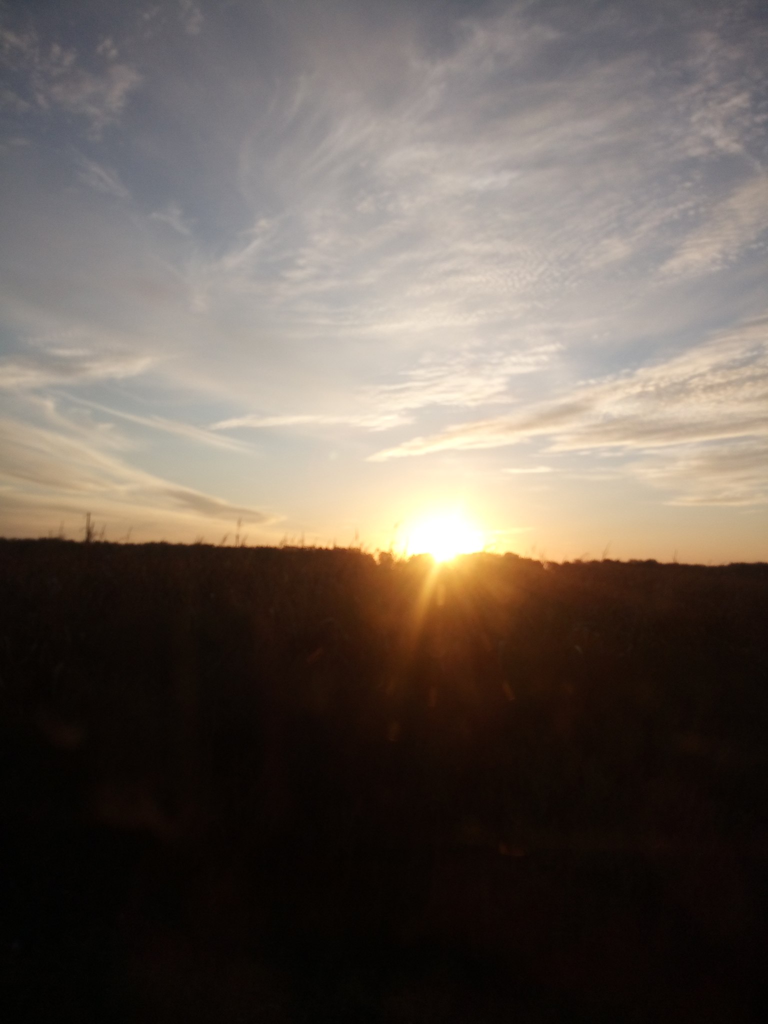   - 17  2022  09:48 - 3