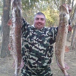 ���� �������, ������, 43 ���� - ��������� 15 ������ 2022