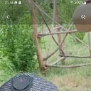 ���� ������, �������, 46 ��� - ��������� 3 ������� 2023 � ������ ���� ����������