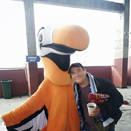 ���� �������, �������, 43 ���� - ��������� 29 ������� 2022