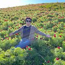 ���� �, ���������, 65 ��� - ��������� 21 ������ 2022