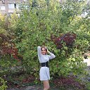 ���� ����, ��������, 42 ���� - ��������� 6 ������ 2022