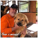 ���� ����, �����-��������� - ��������� 6 ������ 2022 � ������ ������ ��������