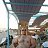 ���� Niyamddin, ����, 41 ��� - ��������� 17 ������ 2023