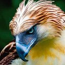 ���� ������, �����, 58 ��� - ��������� 21 ������ 2022 � ������ ���� ����������